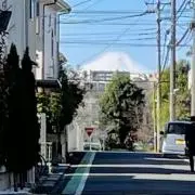 オポ太の画像