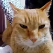 jogさんの画像