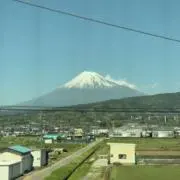 さっくの画像