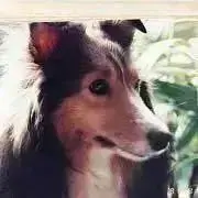 ♥️⌘セーラ⌘の画像