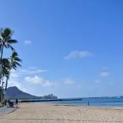 ユウの画像