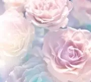 ラッキー♡の画像