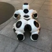十一