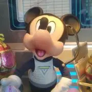 ぷーこの画像