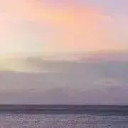 ドラオの画像