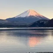 Danの画像