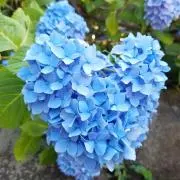 さっとん⭐プロフィール必読の画像