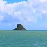きゅーり