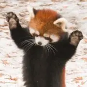 しのの画像