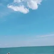 sakiの画像