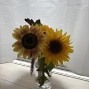 rの画像