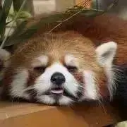 Miの画像