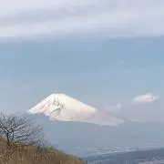ショコラの画像