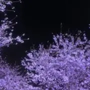 こたつの画像