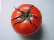 tomatoの画像