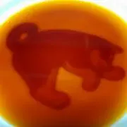 らびもも