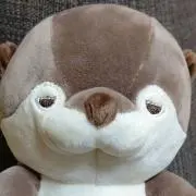 がんもちゃんの画像