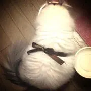 jun