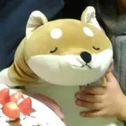さきっちの画像