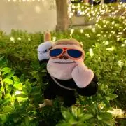 まお〜の画像