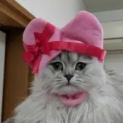 しょうちゃんママの画像