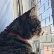 ゆな