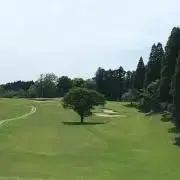 ✴︎ぺこん✴︎
