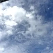 コテコテの画像