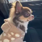 miΘの画像