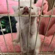だいふく ‪☆プロフ確認お願いします‪☆の画像