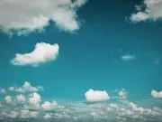 bluestarの画像
