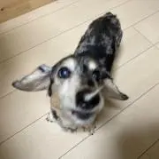 サウナボーイの画像