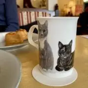 栞の画像
