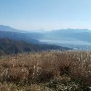 ウニモグの画像