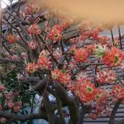 ゆうくんパパ