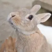 Mpxx.の画像