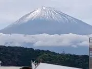 ピロユキングの画像