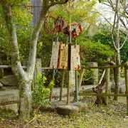 momoの画像