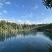 華の画像