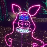 ころすけ