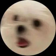 にゃそ⟡.·の画像