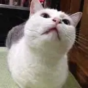 まっちゃんの画像