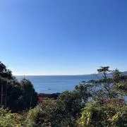 Zの画像