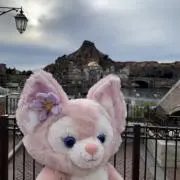 ベール