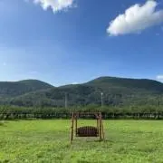 Eの画像