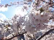 音⚠️プロフ読んで下さい⚠️の画像