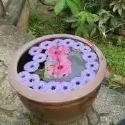 モノクロぶ〜の画像