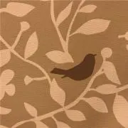 クワちゃんの画像