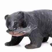 ネオの画像