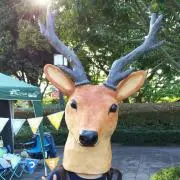さぎり